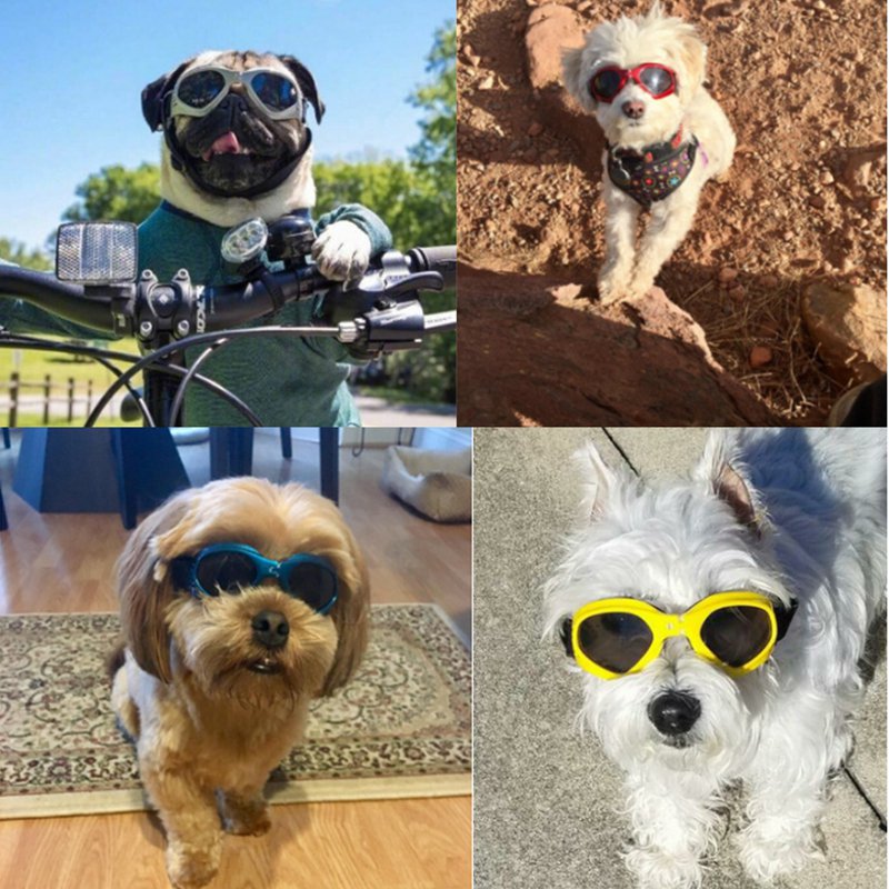 Pat and Pet Emporium | Pet Sunglasses | Cool Dog Sunglasses