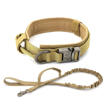 Pat and Pet Emporium | Pet Collars | Dog Collar