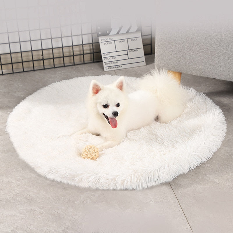 Pat and Pet Emporium | Pet Beds | Round Dog Bed