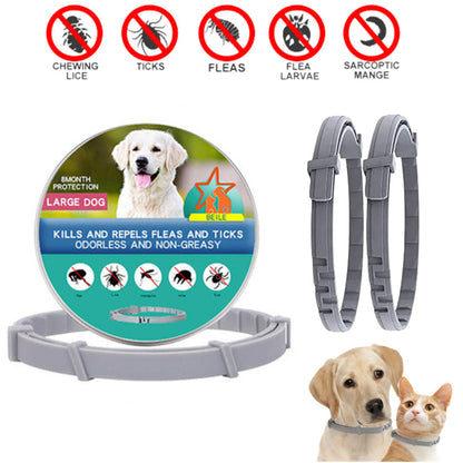 Pat and Pet Emporium | Pet Collars | Dog Cat Anti-Flea Pet Collar