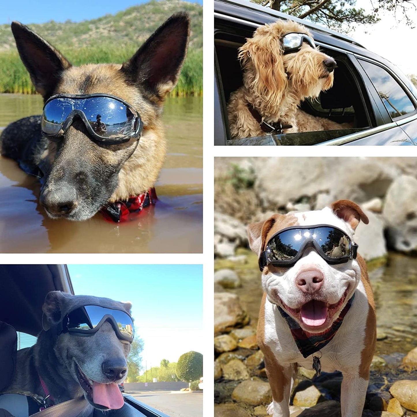 Pat and Pet Emporium | Pet Sunglasses | Dog Goggles Adjustable Strap