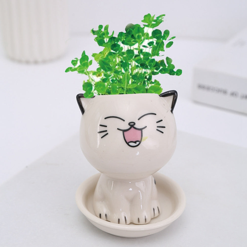 Pat and Pet Emporium | Home Products | Cat Ceramic Flowerpot