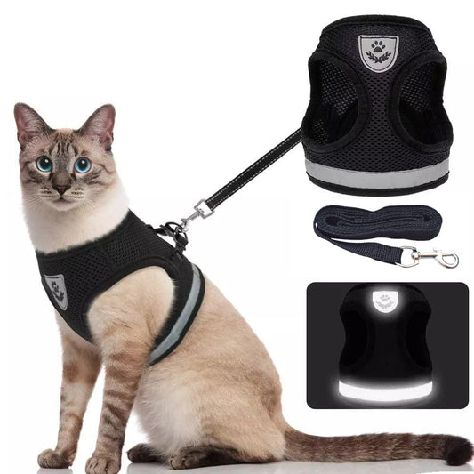 Pat and Pet Emporium | Pet Harnesses | Cat Pet Leash Harness