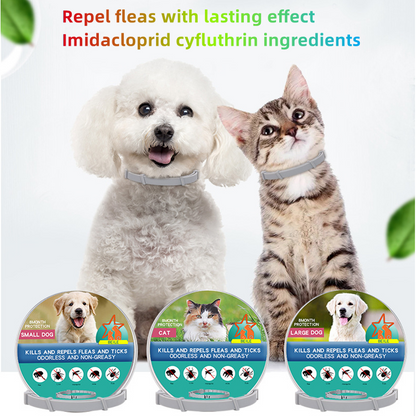 Pat and Pet Emporium | Pet Collars | Dog Cat Anti-Flea Pet Collar